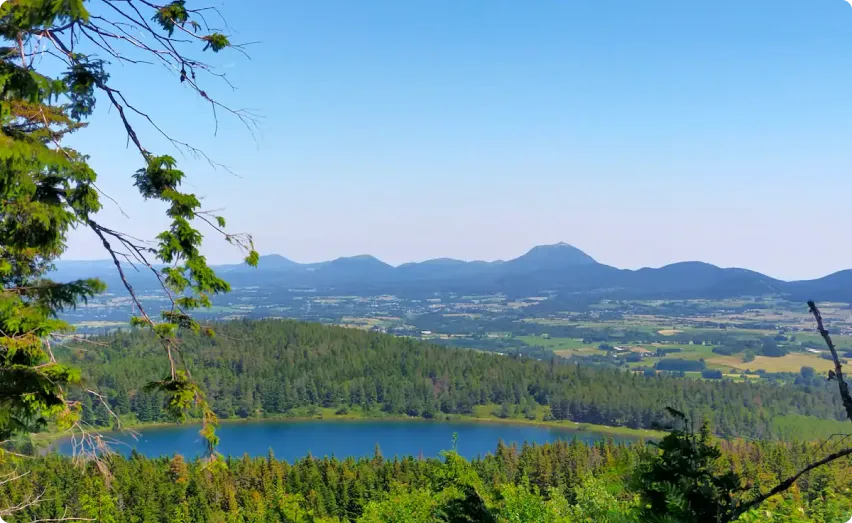Vue sur un lac au milieu de végétation